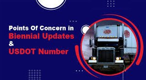 Biennial Updates & Authority Changes